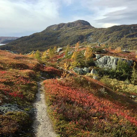 Einsetlie By Norgesbooking - By Hallingskarvet Holiday home Hol (Buskerud)